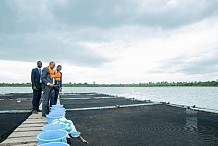 Côte d’Ivoire : entre « 300 à 400 milliards Fcfa » de poissons importés par an