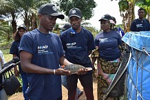 La FAO vulgarise les systèmes hors sol à eau recirculée et biofloc pour la production du Tilapia