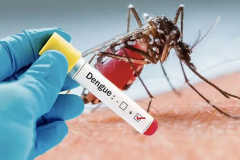L’INHP déplore une sixième épidémie de Dengue en Côte d’Ivoire avec 73 cas confirmés dont 2 décès
