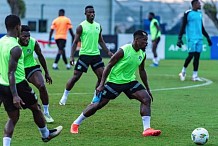 CAN 2023/ Match Côte d'Ivoire Sénégal : première séance d'entraînement du nouveau sélectionneur Emerse Faé avec les Éléphants