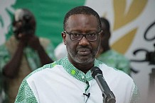 PDCI-RDA : Tidjane Thiam insuffle une nouvelle dynamique au parti