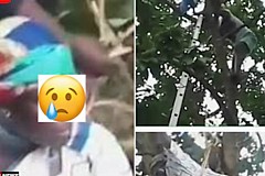 Une femme de 50 ans, soupçonnée d'être une sorcière, se retrouve coincée dans un avocatier