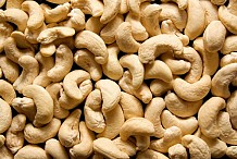 Côte d'Ivoire: le prix du kilo de noix de cajou en légère baisse pour la campagne de commercialisation 2026