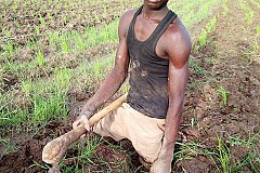 Il a perdu ses deux jambes mais est cultivateur Il a perdu ses deux jambes mais est cultivateur