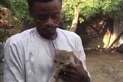 Nigeria: un homme lègue 20% de sa fortune à son chat Nigeria: un homme lègue 20% de sa fortune à son chat