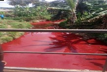 Ghana : un cours d’eau se transforme en mare de sang (vidéo)