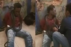 Indonésie / La police le torture avec un serpent: il avoue tout Indonésie / La police le torture avec un serpent: il avoue tout