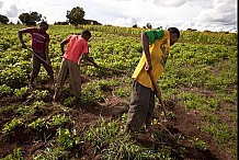 Les agriculteurs sont sexuellement plus actifs que les autres corps de métier - Etude !