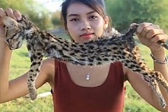 Cambodge: Un couple arrêté pour avoir mangé des animaux en voie de disparition Cambodge: Un couple arrêté pour avoir mangé des animaux en voie de disparition
