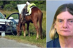Etats-Unis: Arrêtée pour «conduite d'un cheval» en étant ivre