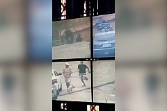 Un chien arrête un voleur poursuivi par la police (vidéo)