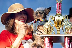 Voici le chien “le plus laid” du monde en 2019 Voici le chien “le plus laid” du monde en 2019