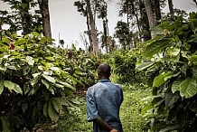 Un cultivateur écope de six mois de prison pour détention illégale d’arme à Bouna