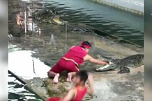 La grosse frayeur d'un dresseur de crocodiles - vidéo