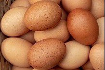 Inde : un homme meurt après avoir mangé 41 œufs