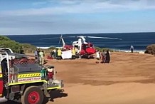 Australie: Mordu par un requin, il arrive à rejoindre le rivage