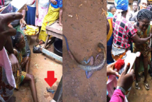Nigeria-insolite: Une femme donne naissance à un lézard (photos)