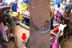 Nigeria-insolite: Une femme donne naissance à un lézard (photos) Nigeria-insolite: Une femme donne naissance à un lézard (photos)