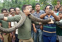 Il pose avec un python et échappe de justesse à la mort