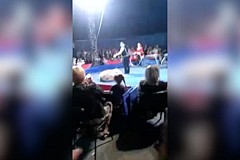 Un ours saute dans le public pendant un spectacle de cirque (vidéo) Un ours saute dans le public pendant un spectacle de cirque (vidéo)