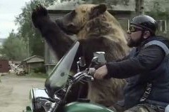 Pendant ce temps, en Russie, un ours fait du side-car (vidéo) Pendant ce temps, en Russie, un ours fait du side-car (vidéo)