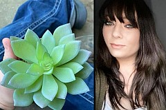 Elle réalise après deux ans qu’elle arrose... une plante artificielle Elle réalise après deux ans qu’elle arrose... une plante artificielle