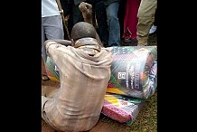 Ouganda-Insolite: Un homme “arrêté” par un serpent après avoir volé un matelas