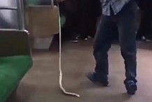 Il devient un héros des réseaux sociaux pour avoir tué un serpent de ses mains (VIDEO)