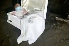 Elle simule sa grossesse, dupe son mari et enterre une poupée à la place de Elle simule sa grossesse, dupe son mari et enterre une poupée à la place de