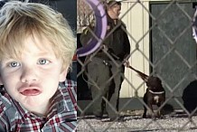 Un enfant de 5 ans est laissé seul avec un pitbull, ce dernier le tue