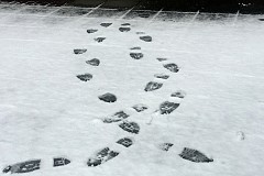 France: Les cambrioleurs trahis par leurs traces de pas dans la neige France: Les cambrioleurs trahis par leurs traces de pas dans la neige