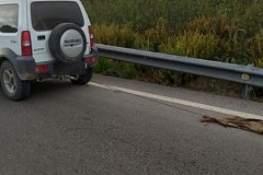 Un chien meurt après avoir été traîné par son maître sur plusieurs kilomètres Un chien meurt après avoir été traîné par son maître sur plusieurs kilomètres