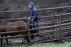 Elle plaque son petit-ami après l'avoir vu sur une vidéo en train de violer un cheval