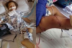 Floride : une fillette de 3 ans sauvagement attaquée par un requin
Floride : une fillette de 3 ans sauvagement attaquée par un requin