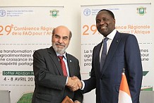 Vers la réduction des pertes après récolte et l’agro-industrie