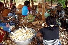 Les femmes contribuent à 60% dans le PIB en Afrique subsaharienne (UE)