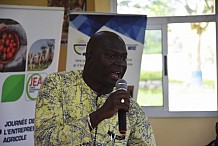 Autosuffisance alimentaire : Plaidoyer pour la consommation du riz local de Côte d’Ivoire