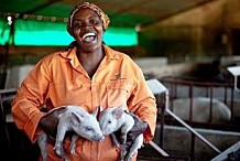 Afrique du Sud : Anna Phosa, la réussite par le porc