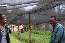 Une formation pour les entrepreneurs qui protègent l’environnement en Afrique