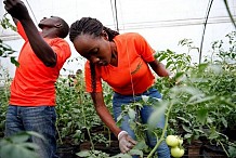 Environ 64% des jeunes agri-entrepreneurs ne reçoivent aucun soutien des gouvernements en Afrique
